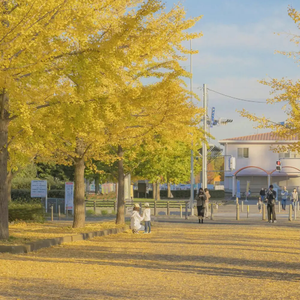 午夜福利观看视频1
