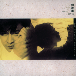 午夜福利观看视频1
