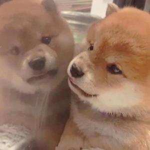 午夜福利观看视频1
